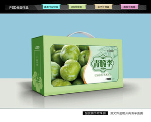 蜂糖李礼盒 青李包装
