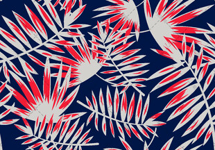 红蓝相间植物叶片图案