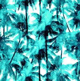 蓝绿色调的热带棕榈树景观