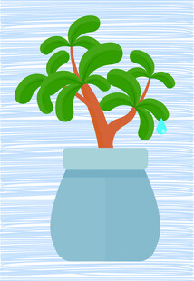 蓝色花盆中的绿植