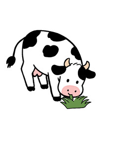 可爱奶牛低头吃青草