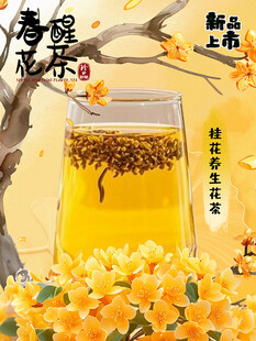 桂花养生花茶海报