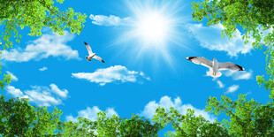 蓝天白云天花软膜