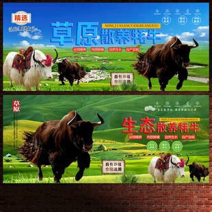 牦牛展板
