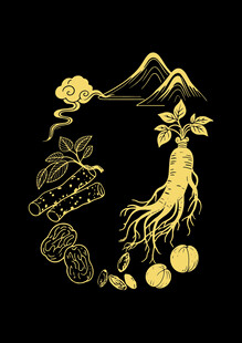 人参山药大枣枸杞桂圆国潮矢量