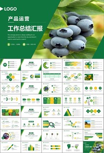 绿色农业产业总结计划ppt模板