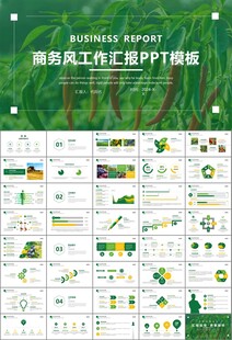 绿色农业产业总结计划ppt模板