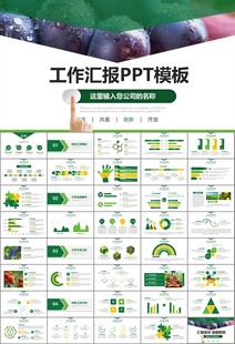 绿色农业产业总结计划ppt模板