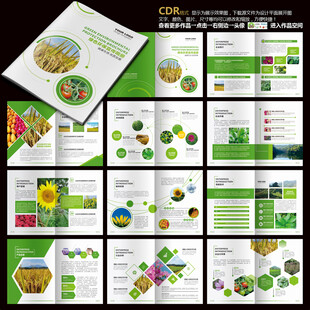 农业画册农产品宣传册