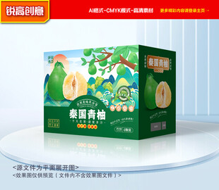 青柚包装 柚子礼盒