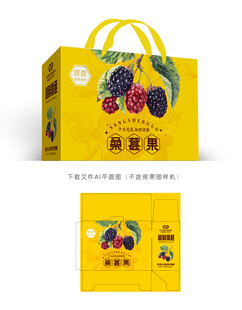桑葚包装
