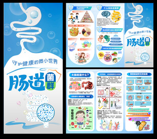 肠道菌群三折页