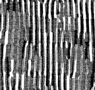 黑白条纹纹理图案