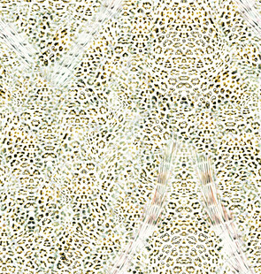 米白色碎石纹理背景图