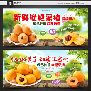 枇杷