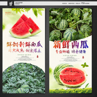 西瓜海报