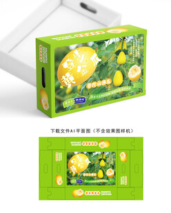 登步黄金瓜包装