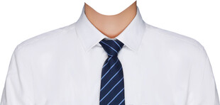 男白色衬衫条纹领带证件照衣服