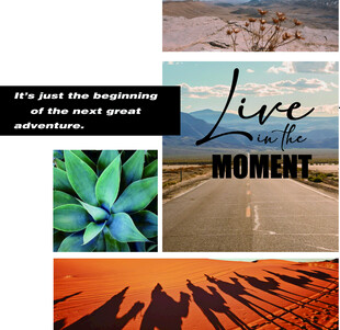 生活瞬间自然与美好时刻