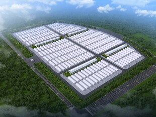 现代化大型温室种植基地