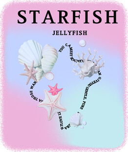 海星水母贝壳梦幻组合