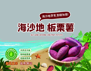 海沙地板栗红薯包装