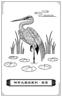 沼泽中的鹭鸟插画