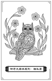 猫头鹰花卉黑白线稿图案