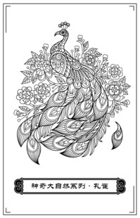 黑白孔雀插画艺术图案