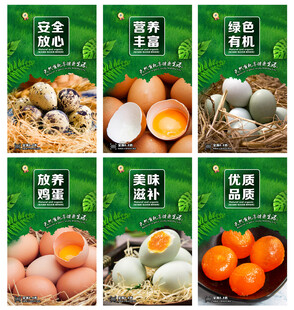 鸡蛋 