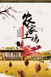 农家土鸡展板包装