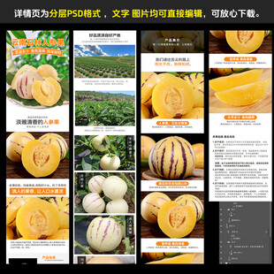 人参果品种介绍及特性展示