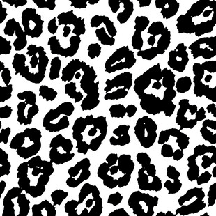 黑白豹纹图案纹理背景