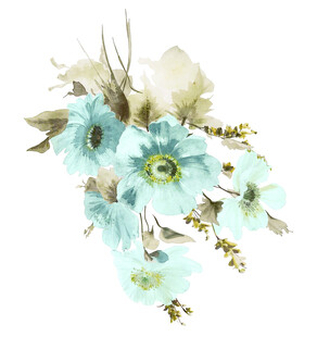 淡蓝色花卉水彩插画