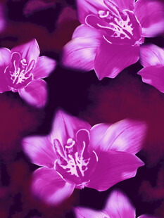 紫色绽放的美丽花卉