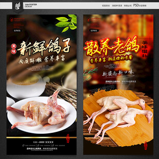 鸽子