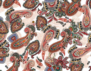 多彩佩斯利花纹图案