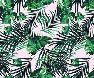 热带棕榈叶无缝图案背景