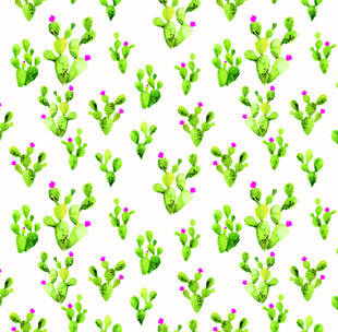 仙人掌花卉无缝图案背景