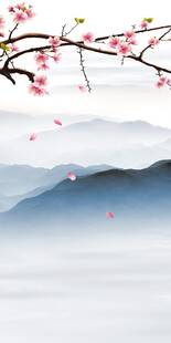 新传 现代高雅玄关 TiF分层