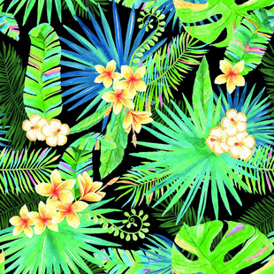 热带植物花卉图案背景