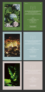 自然风景摄影作品展示