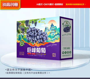 葡萄包装 巨峰礼盒