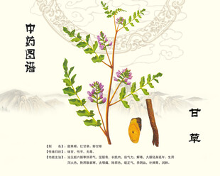 甘草中草药甘草