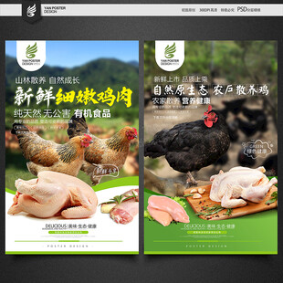 新鲜鸡肉