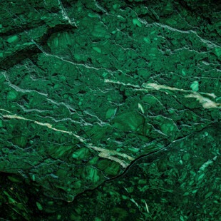 翠绿纹理的神秘微观世界