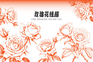线描玫瑰花