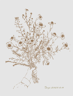 手绘干花插画小野花