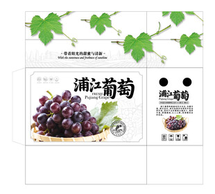 浦江葡萄手提礼盒平面展开图