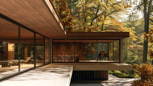 现代森林中的玻璃木屋